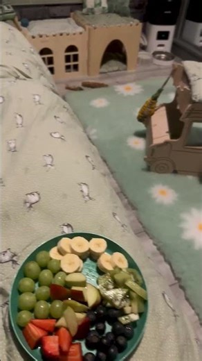 Animal videos that will make you scream!