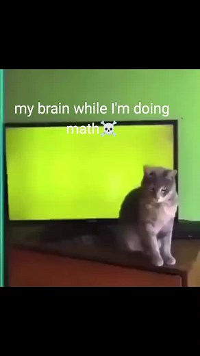 Sound Effects Compilation: Gok Gok Gok Gok