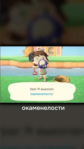What to do in Animal Crossing