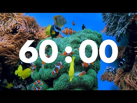 Ocean Serenity: 60-Minute Underwater Fish Timer with Calming Music & Gentle Alarm