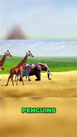 Join the Magical Zoo Parade: Animals Marching with Joy! #shorts