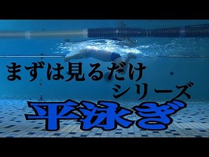【平泳ぎ】イメトレ用！水中映像