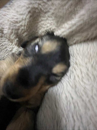 Ice Spice's New Song in Roblox Gameplay