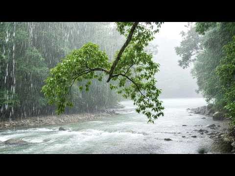 Soothing Heavy Rain Sounds in Nature for Insomnia | Peaceful Deep Sleep Meditation