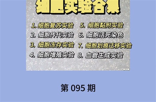 细胞实验合集｜8大基础操作一次搞懂，科研小白速码！