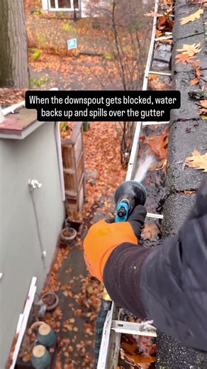 This is why your gutters keep clogging
