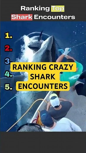 The Most Insane Shark Moments 🦈