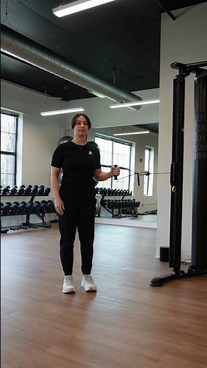 Shoulder Internal Rotation (Concentric)