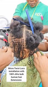 279 reactions · 16 shares | Micro Twist Locs Installation done with...