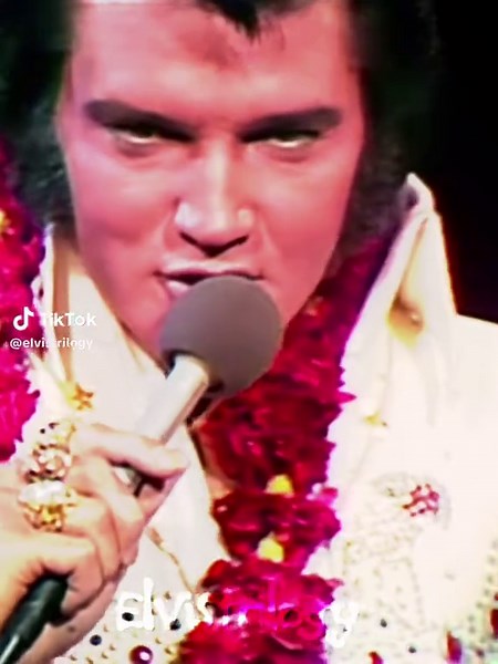 jelvisthepelvis on TikTok