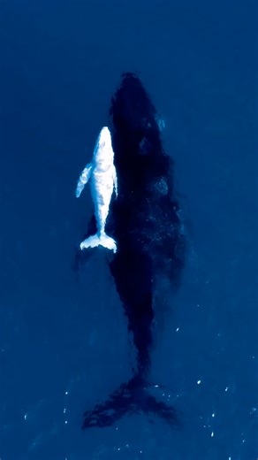 See our favorite pictures of 2025 taken by … you