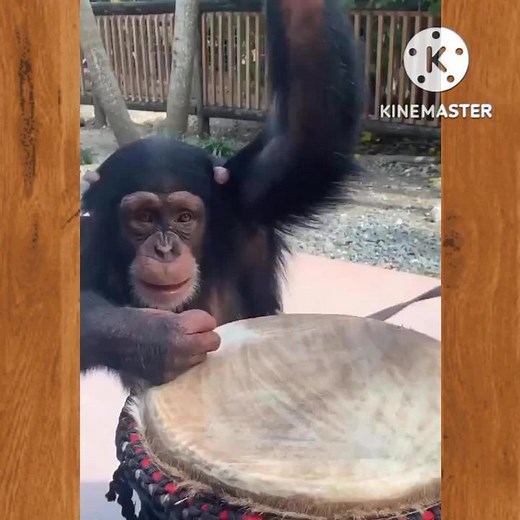 joe_aney (@joe_aney)’s videos with original sound - joe_aney