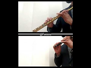 Bedřich Smetana "Vltava (Die Moldau)" for 2 Flutes and Piano