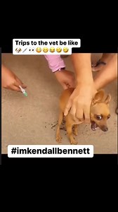 “Vet Days” 🐶💉👀😳😬🙃😆😂🤣🤣 #petsbelike #petdog #vet #woof #ouch #needle #dog #funnypets #funnyanimals #fyp #screaming #howling #trending #funny #funnyreels #viral #southmemphiscomedy #imkendallbennett | Kendall Bennett