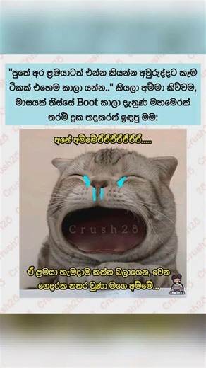 අර ලමයාටත් අවුරුදු කන්න එන්න කියන්න 😇 | Funny Files Hub #facebookmeme #shorts #srilanka #comedyposts