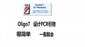 Oligo 软件设计PCR引物