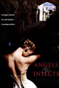 Angels and Insects | Audience Reviews