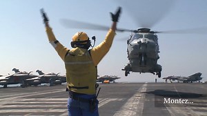 Appontez aux ordres d'un chien jaune ! | Armée française - Opérations militaires