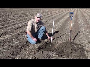 Profit Tillage Focus: Focus on Strip-Till