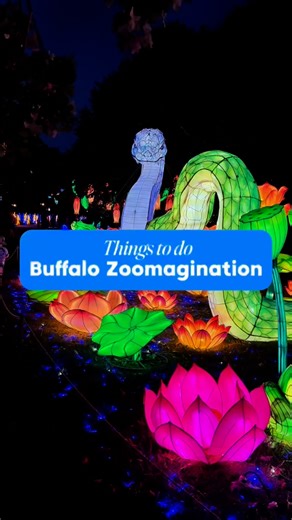 4.4K reactions · 1.7K shares | 﫨 There’s dozens of glowing creatures...