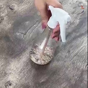 I mixed coffee with acetone and surprised everyone with the result! | Recipes Taught