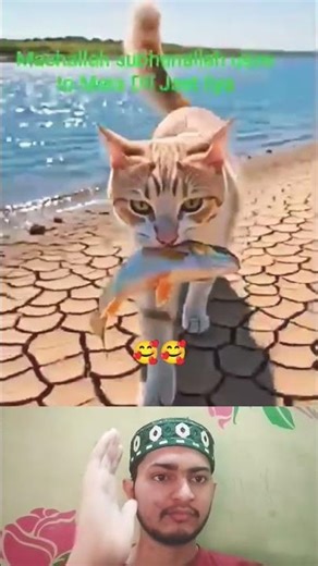 #reaction #shorts #video #suparhit #naat #viral #shorts #stutas ✨✨✨