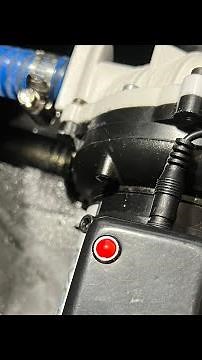 How to Fix 12V Everflo Bleach Pump: Red Light Sensor Issue Troubleshooting