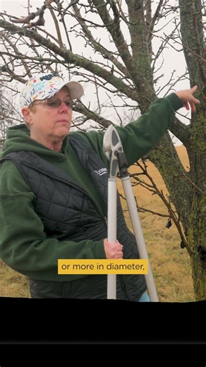 Save the collar when you prune