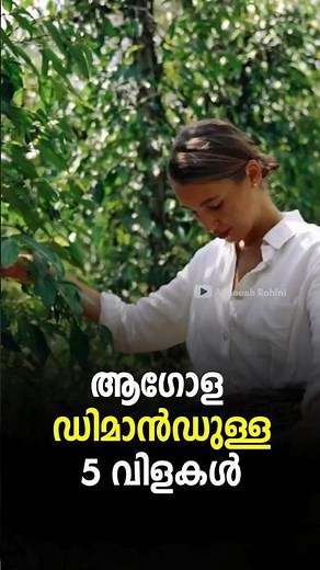 Top 5 Globally High-Demand Crops | Best Commercial Crops for Farmers 2026