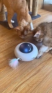 43K views · 134 reactions |  Shop now at-https://bit.ly/3SsTFMy ✨...