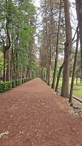 Lugares hermosos en la CDMX ♥️ Viveros de Coyoacán. . . . . . . . #cdmxlife #visitamexico #culturamexicana #cdmx_oficial #mexicotravel #reelsfypシ #cdmxparatodos #cultural #mexicodf #cdmx #miciudad #visitmexico #reels #cdmx_photos | A patín por México