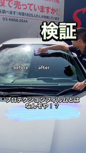 日曜日のお昼に貼っておいて正解！面白動画をご覧ください🌈✨