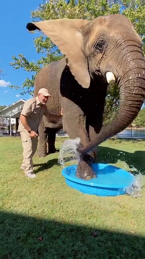 Jay Prehistoric on TikTok