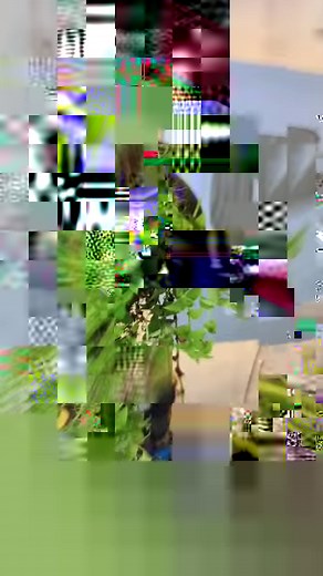 Easy making coconut shell hanging pot #coconutshellcraftideas #viralshort #coconutshellcraft #masterideas #coconutcraft #shortsfeed #polkatu #diycraft #coconut #shorts Boney Benny | Master Ideas