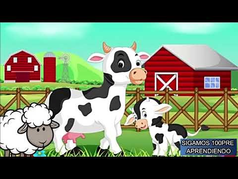 CUANTO INFANTIL | CUENTO DEL CUIDADO DE LOS ANIMALES