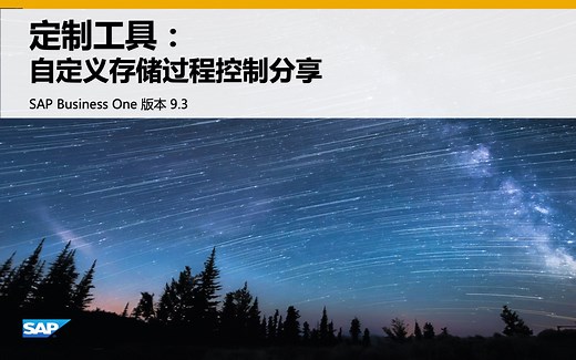 自定义存储过程控制相关分享-SAP Business One