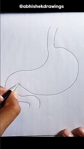 how to Draw stomach diagram #abhishekdrawing #diagram
