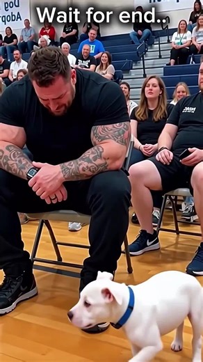 Dog Puppies choose their homies #puppy #puppies #dog #animaladoption #adoption