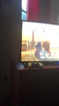 Madagascar 2 escape Africa 2008 end credits