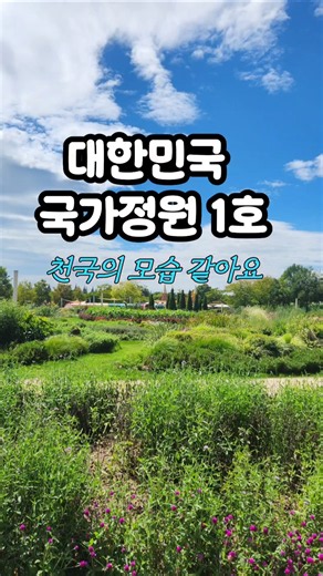 순천 여행 필수코스 #순천만국가정원 #순천여행 #꽃명소 #가을여행 #순천가볼만한곳 #여행브이로그