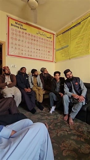 importance of road signals #learntodrive