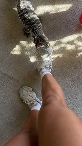 Zilla is currently in brumation & I miss her 🥲 #tegu #tegulizard #lizardsofinstagram #reptilemom | Kenziemaack