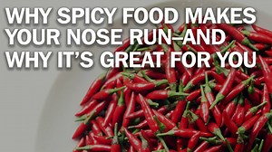 13K views · 139 reactions | Why spicy food makes your nose run—and...