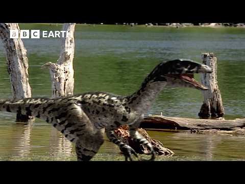 How Volcanic Pollution Ended a Tyrannosaurus Bloodline | Walking with Dinosaurs (1999) | BBC Earth