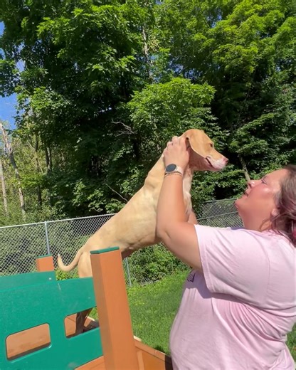 Today we would like to showcase Lottie! This snuggle bug of a girl was found wandering around outside, for weeks she had been roaming and when she was finally caught and brought to the shelter no one claimed her…we just can’t figure out why! Lottie is the sweetest and most affectionate dog and she so longs for a family to spoil her! 🩷🐾🐶 Lottie’s adoption fee is reduced through July 31st thanks to the BISSELL Pet Foundation Empty the Shelters Event. Let’s find Lottie a home! | Delta Animal She