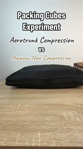 Traveling Terry on TikTok