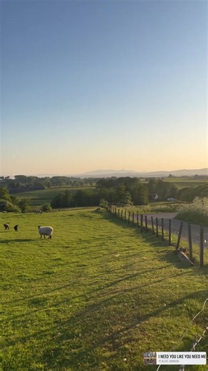 Tour Part 3 ✨🫠 | Alexz Johnson