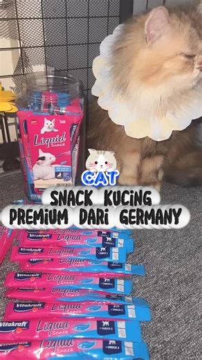 #kucing #kucinglucu #snackkucing | Wiwik Wiwik