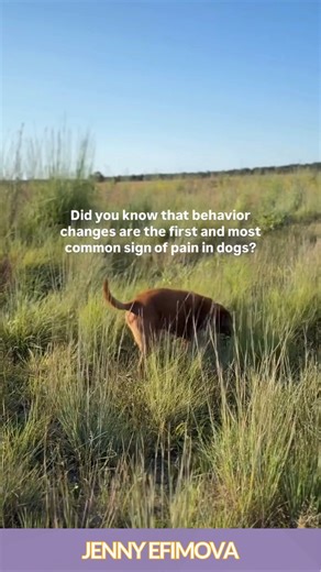 174 reactions · 29 shares | We know that health and behavior are...