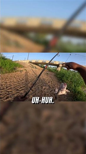 Unbelievable Blue Catfish Catch in a Tiny Texas Creek! #fishing #texas #shorts